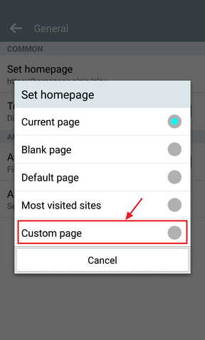 Set Homepage Options