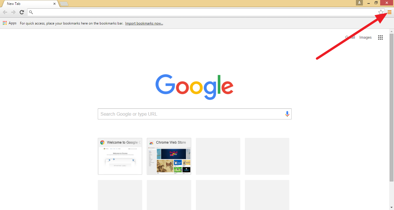 google web browser home page