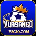 Vsc10 com