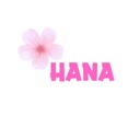 Hoa Khô Hana