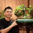 Hoàng Anh Tuấn