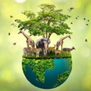 Lecce Biodiversity