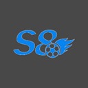 S8