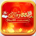 Hay88