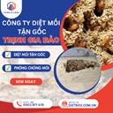 Diệt mối TP. Hồ Chí Minh