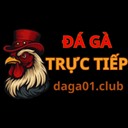 ĐÁ GÀ TRỰC TIẾP HÔM NAY PHÁT SÓNG ĐÁ GÀ THOMO -