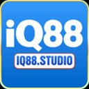 IQ88