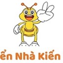 Quy trình vận chuyển Kiến Vàng