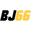 Bj66 netz