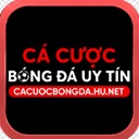 Cá cược bóng đá